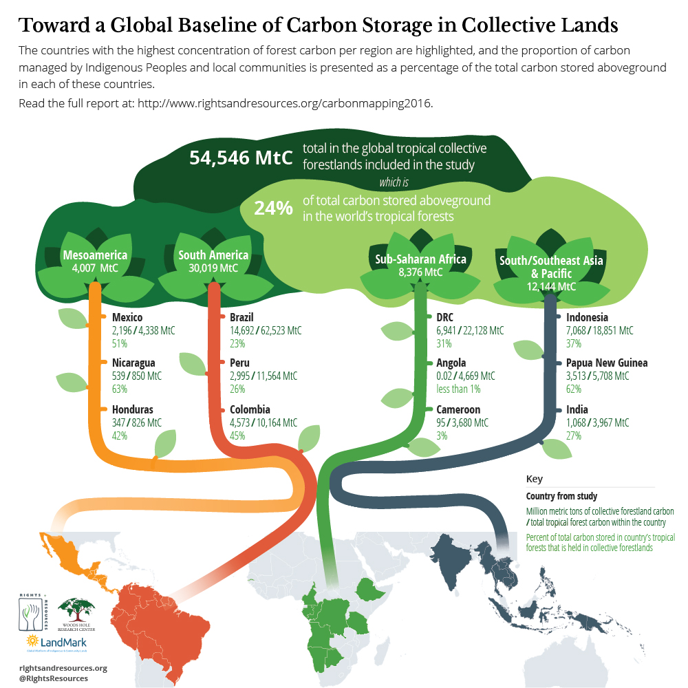 Toward a Global Baseline of Carbon Storage in Collective Lands Graphic | RRI