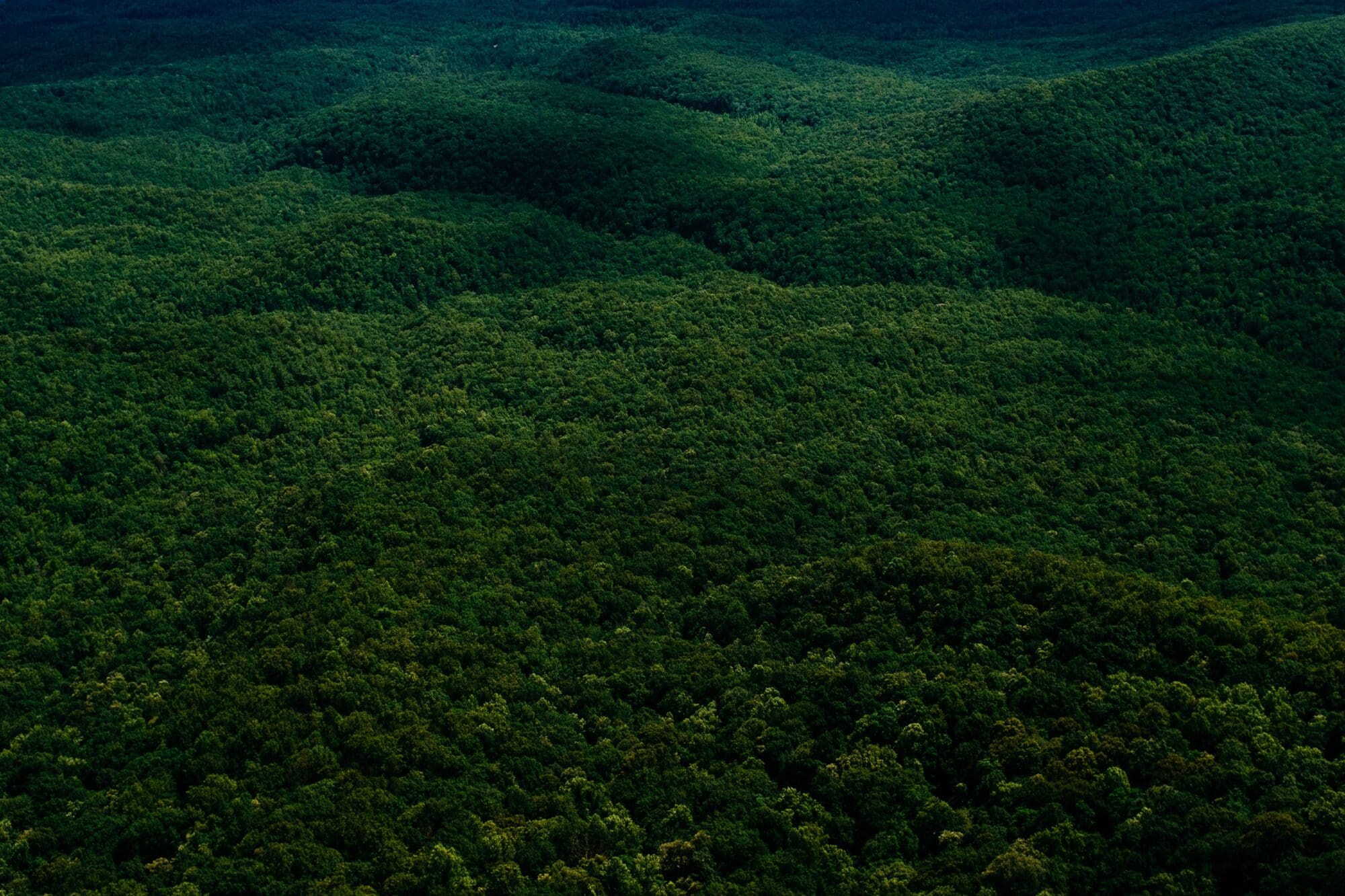 Voluntary carbon market