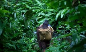 Peru Amazon Tribe Photo Gallery